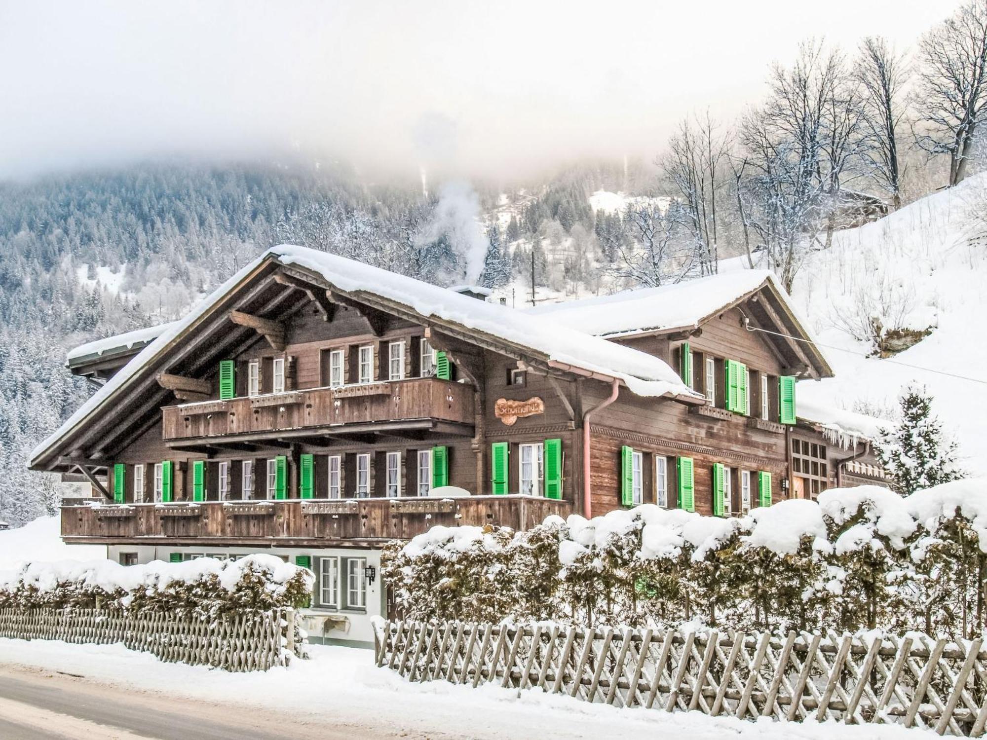 Apartment Chalet Schwendihus-6 By Interhome Grindelwald Ngoại thất bức ảnh